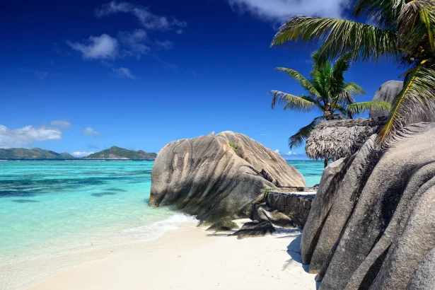 Ile au Cerf Seychelles