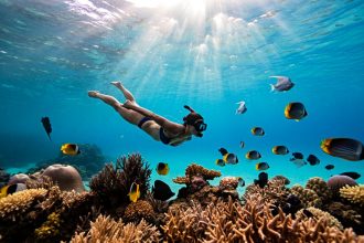 snorkeling à l’îlot Coco aux Seychelles