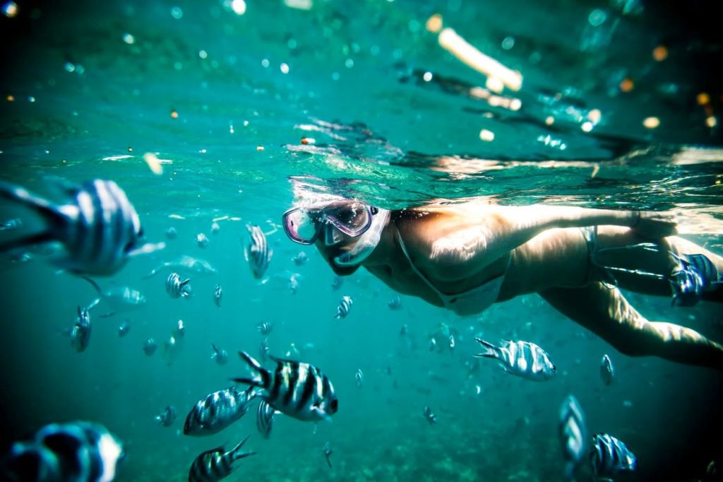snorkeling parc national marin de Sainte-Anne seychelles