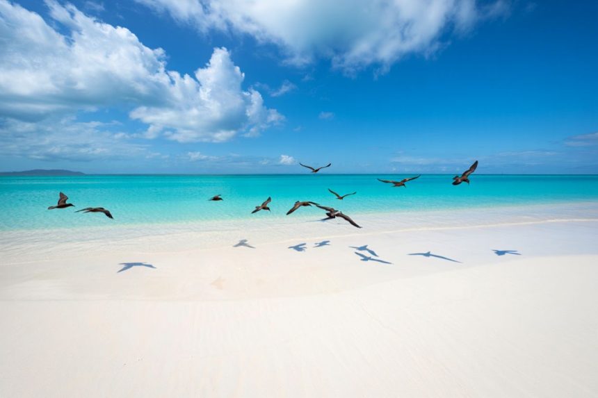 Que faire à Bird Island aux Seychelles