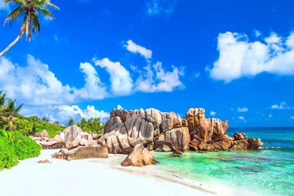 Plage de sable blanc de La Digue aux Seychelles, avec ses blocs de granit, un cocotier penché et une eau turquoise