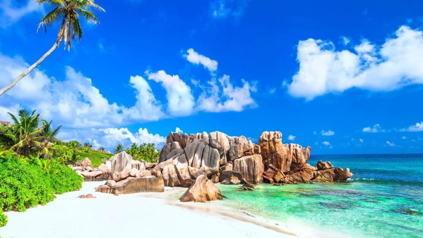 Plage de sable blanc de La Digue aux Seychelles, avec ses blocs de granit, un cocotier penché et une eau turquoise